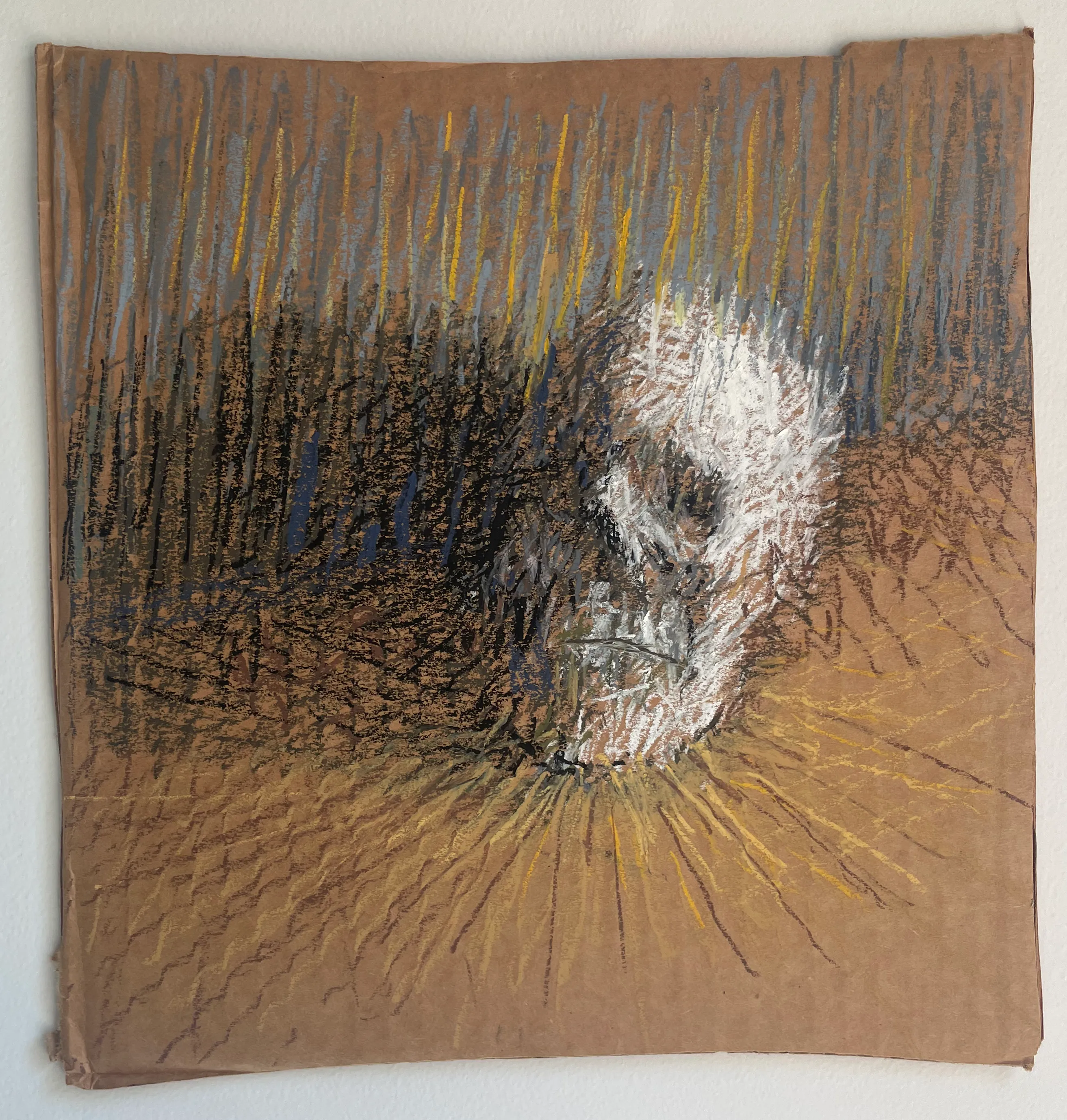 skull