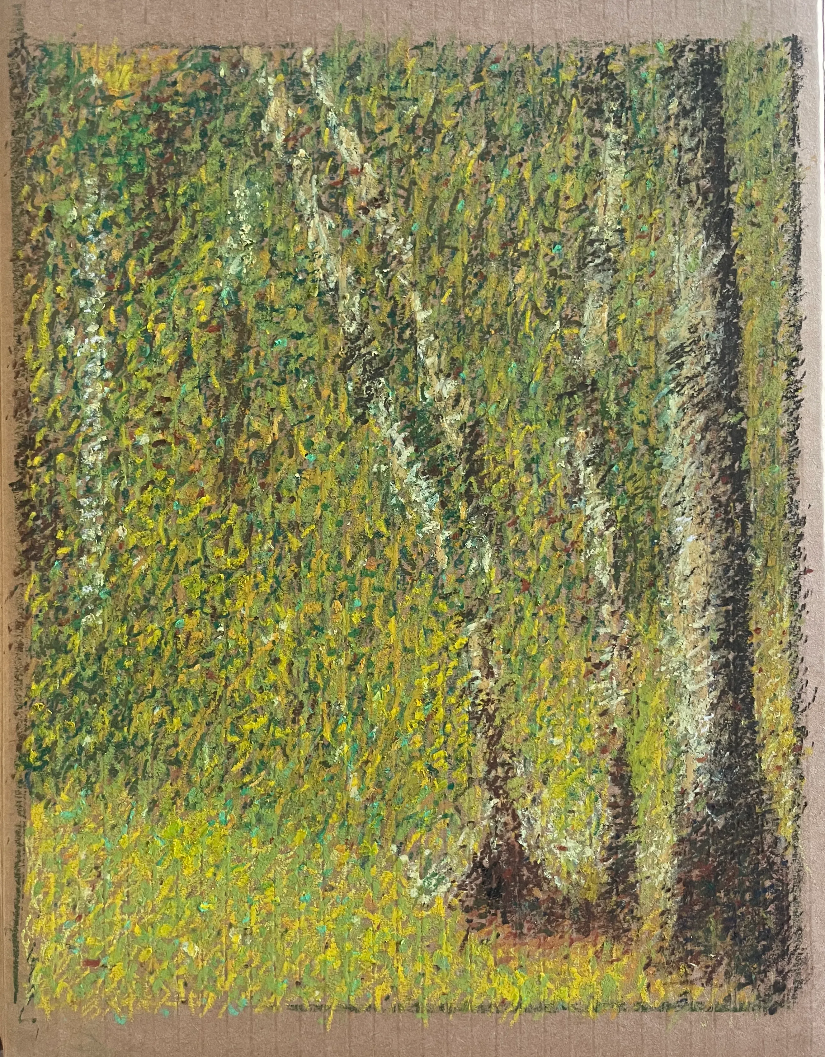 forest-at-pontaubert